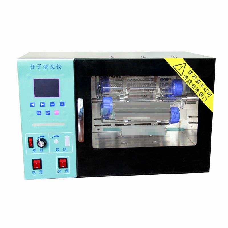 �����s���x,�����s����